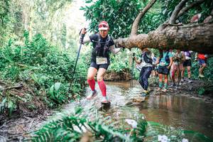 BIB: 
                            <button type="button" onclick="openModal(25516289)" class="btn btn-primary btn-sm float-right btn-popup" data-toggle="modal" data-target=".modal-high-quality">
                        <i class="fas fa-shopping-cart"></i> Add to Cart
                    </button>
                                            <button type="button" onclick="isThisMe(25516289, true)" class="btn btn-success btn-sm float-right btn-popup btn-isme hidden" data-toggle="tooltip" data-placement="bottom" title="นี่คือรูปของคุณใช่ไหม คลิกที่นี่เพื่อเอาเข้าอัลบั้ม">
                        <i class="fas fa-plus"></i> Add to album
                    </button>
                    <button type="button" onclick="isThisMe(25516289, false)" class="btn btn-warning btn-sm float-right btn-popup btn-isnotme hidden">
                        <i class="fas fa-ban"></i> Remove from album
                    </button>